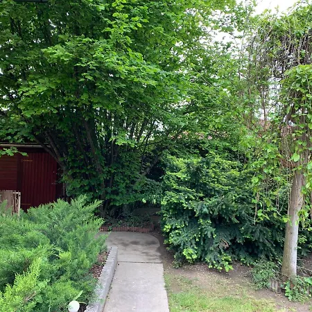 Joker Party House -